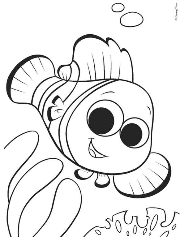 coloriage nemo le poisson clown